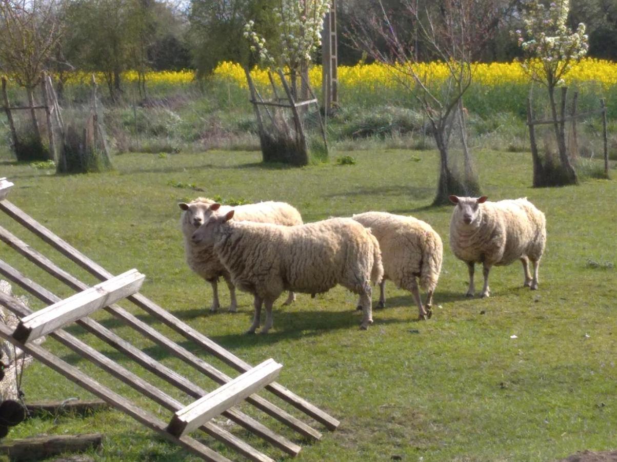 B&B Ferme De La Rouzannerie Pour 2 Ou Famille Lanneray Exterior foto